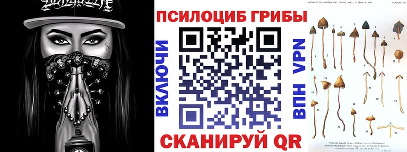 Псилоцибиновые грибы Psilocybe закладки Первоуральск